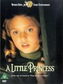 Little Princess, A (Wide Screen)