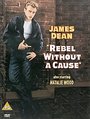 Rebel Without A Cause