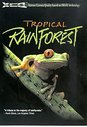 Tropical Rainforest