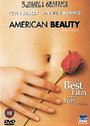 American Beauty