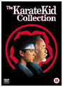 Karate Kid/The Karate Kid Part 2/The Karate Kid Part 3, The (Box Set)