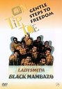 Ladysmith Black Mambazo - Gentle Steps To Freedom