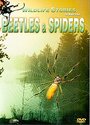 Whole Story, The: Beetles And Spiders