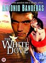 White Dove, The