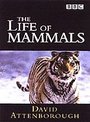 Life Of Mammals, The - Complete