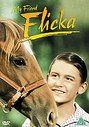 My Friend Flicka