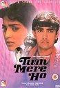 Tum Mere Ho (Hindi Language)