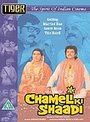 Chameli Ki Shaadi (Hindi Language)