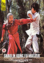 Shaolin Kung Fu Master