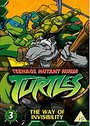 Teenage Mutant Ninja Turtles - Vol. 3 (Animated) (Gift Pack)