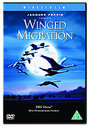 Winged Migration