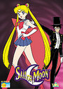 Sailor Moon - Vol. 11 (Animated)