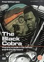 Black Cobra, The