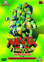 Teenage Mutant Ninja Turtles - The Next Mutation - Volume 1 (Animated)