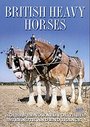 British Heavy Horses - Horses Renowned For Their Strength And Endurance