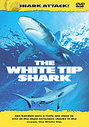 Shark Attack - The White Tip Shark