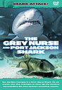 Shark Attack - The Grey Nurse And Port Jackson Shark