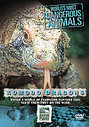 World's Most Dangerous Animals - Komodo Dragons