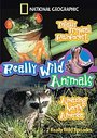 Really Wild Animals - Totally Tropical Rainforest / Amazing North America