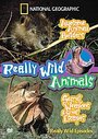 Really Wild Animals - Awesome Animal Builders / Secret Weapons And Great Escapes