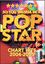 So You Wanna Be A Pop Star: Chart Hits 2004-2005