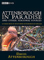 Attenborough In Paradise - The David Attenborough Specials