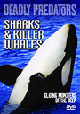 Deadly Predators - Sharks And Killer Whales