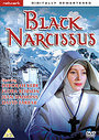 Black Narcissus