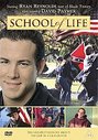 School Of Life (Dealer Pack)