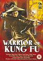 Warriors Of Kung Fu, The