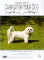 Complete Guide To Caring For Your Dog - From A Puppy To Old Age, A