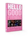 Blancmange - Hello Good Evening