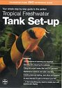 Tropical Freshwater Tank Set-Up