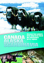 Wildlife - Canada / Alaska / Scandinavia