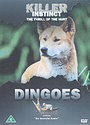 Killer Instinct - Dingoes