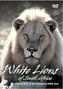 White Lions Of Africa