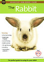 Rabbit - Perfect Guide To Caring For Your Rabbit, The