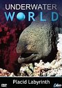 Underwater World - Placid Labyrinth