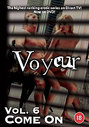 Voyeur - Vol. 6