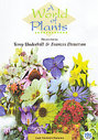 World Of Plants - Late Summer And Autumn, A