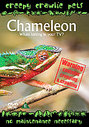 Creepy Crawlie Pets - Chameleon