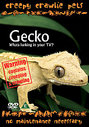 Creepy Crawlie Pets - Wonder Gecko