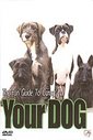 Fun Guide To Caring For Your Dog, The