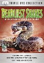 Deadliest Snakes