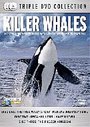 Killer Whales