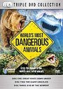 World's Most Dangerous Animals