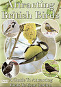 Attracting British Birds