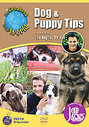 Greatest Dog And Puppy Tips In The World