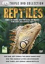 Reptiles (Box Set)