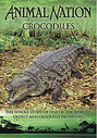 Animal Nation - Crocodiles - The Whole Story